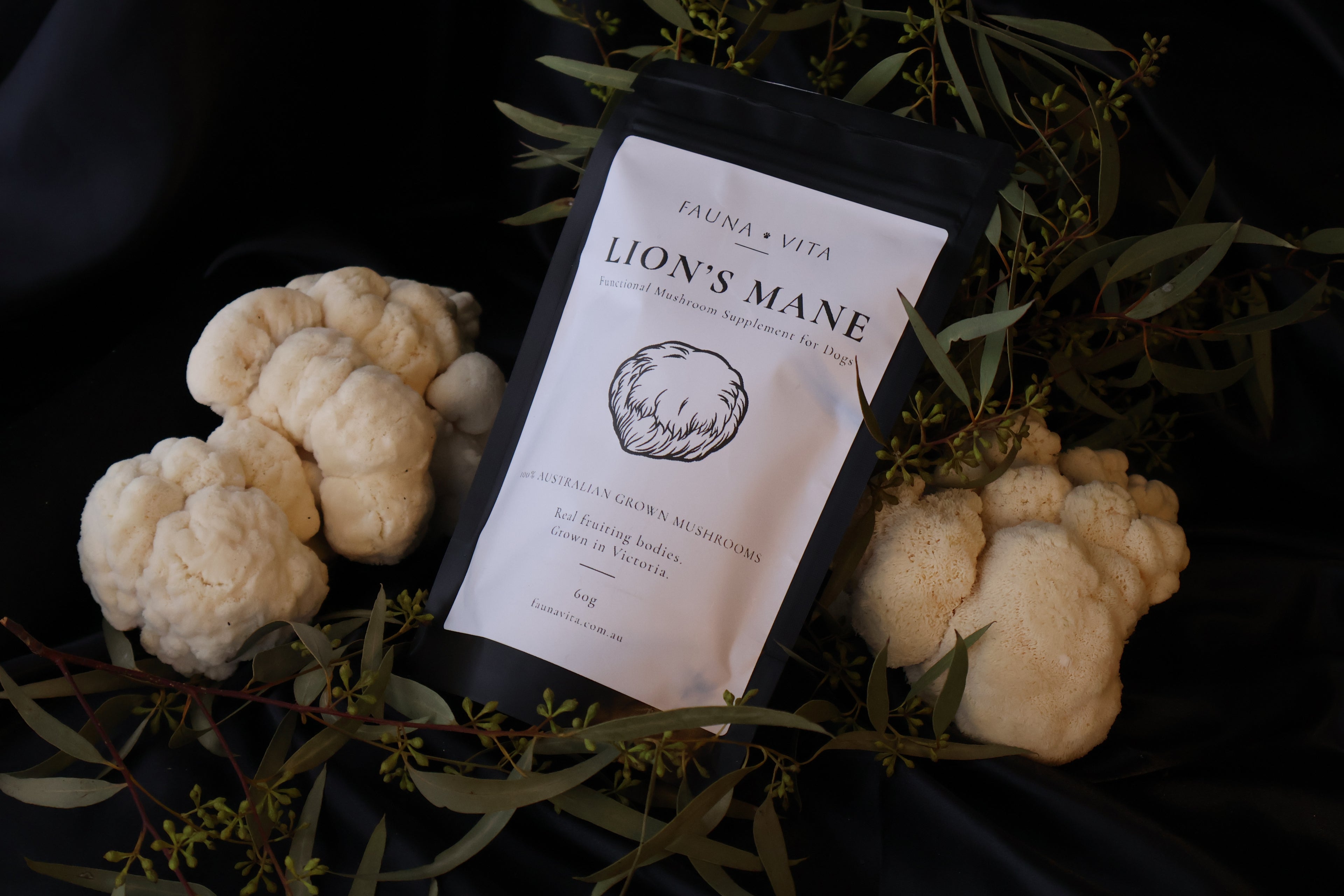 Lion's Mane for Dogs — Fruiting Body Powder | 60g